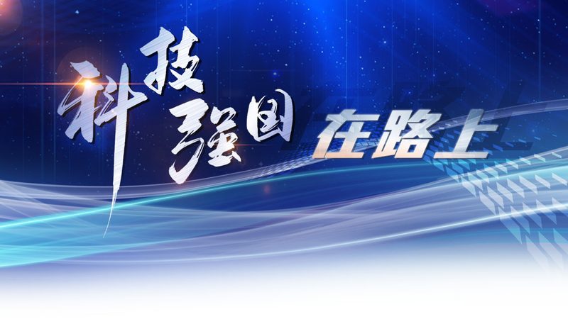 数据可视化图表类型解析：选择与运用之道